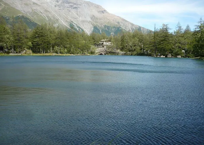 Nonno Guido * 蒙切尼肖